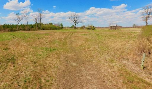 Photo of SOLD!  43 Acres of Farm and Timber Land For Sale in Wilson County NC!