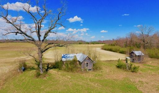 Photo of SOLD!  43 Acres of Farm and Timber Land For Sale in Wilson County NC!