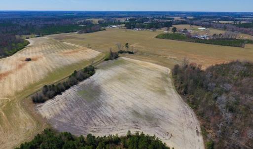 Photo of SOLD!  43 Acres of Farm and Timber Land For Sale in Wilson County NC!