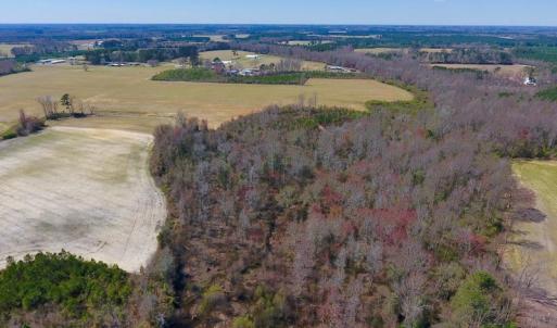 Photo of SOLD!  43 Acres of Farm and Timber Land For Sale in Wilson County NC!