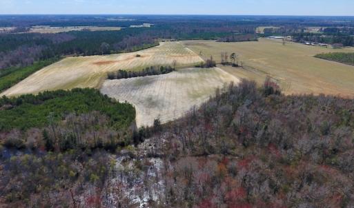 Photo of SOLD!  43 Acres of Farm and Timber Land For Sale in Wilson County NC!