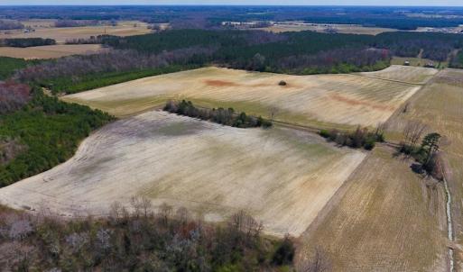 Photo of SOLD!  43 Acres of Farm and Timber Land For Sale in Wilson County NC!