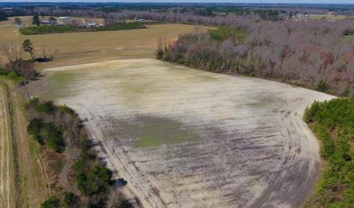 Photo of SOLD!  43 Acres of Farm and Timber Land For Sale in Wilson County NC!