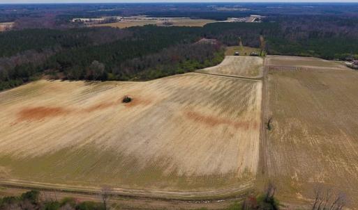 Photo of SOLD!  43 Acres of Farm and Timber Land For Sale in Wilson County NC!