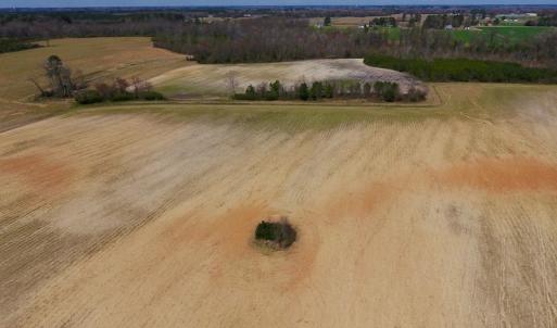 Photo of SOLD!  43 Acres of Farm and Timber Land For Sale in Wilson County NC!