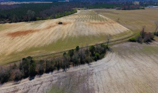 Photo of SOLD!  43 Acres of Farm and Timber Land For Sale in Wilson County NC!