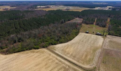 Photo of SOLD!  43 Acres of Farm and Timber Land For Sale in Wilson County NC!