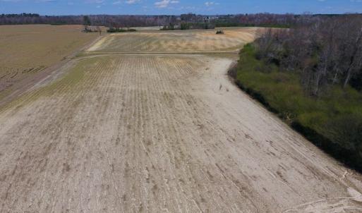 Photo of SOLD!  43 Acres of Farm and Timber Land For Sale in Wilson County NC!