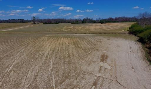Photo of SOLD!  43 Acres of Farm and Timber Land For Sale in Wilson County NC!