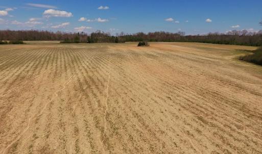 Photo of SOLD!  43 Acres of Farm and Timber Land For Sale in Wilson County NC!