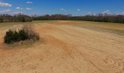 Photo of SOLD!  43 Acres of Farm and Timber Land For Sale in Wilson County NC!