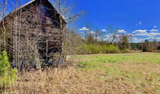 Photo of SOLD!  43 Acres of Farm and Timber Land For Sale in Wilson County NC!