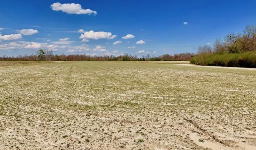 Photo of SOLD!  43 Acres of Farm and Timber Land For Sale in Wilson County NC!