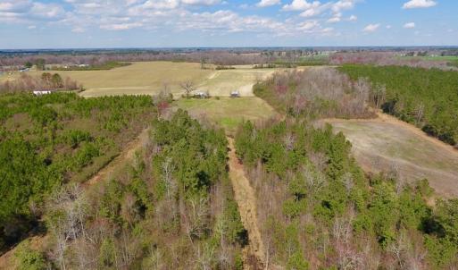 Photo of SOLD!  43 Acres of Farm and Timber Land For Sale in Wilson County NC!