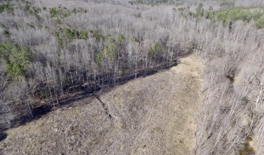 Photo of UNDER CONTRACT!  53.75 Acres of Hunting and Recreational Land For Sale in Lunenburg County VA!