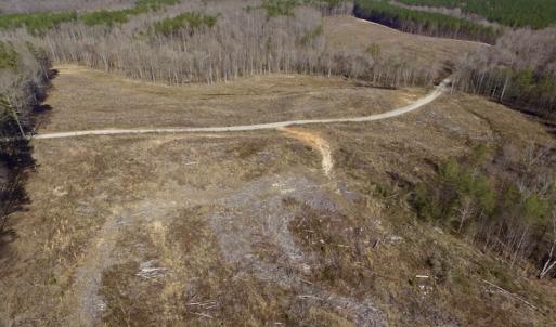 Photo of UNDER CONTRACT!  53.75 Acres of Hunting and Recreational Land For Sale in Lunenburg County VA!