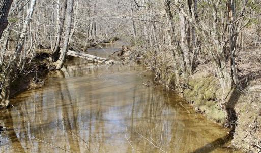 Photo of UNDER CONTRACT!  53.75 Acres of Hunting and Recreational Land For Sale in Lunenburg County VA!