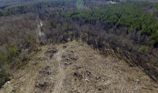 Photo of UNDER CONTRACT!  53.75 Acres of Hunting and Recreational Land For Sale in Lunenburg County VA!