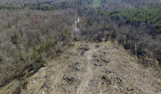 Photo of UNDER CONTRACT!  53.75 Acres of Hunting and Recreational Land For Sale in Lunenburg County VA!