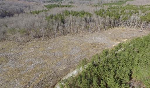 Photo of UNDER CONTRACT!  53.75 Acres of Hunting and Recreational Land For Sale in Lunenburg County VA!