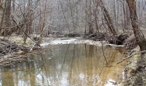 Photo of UNDER CONTRACT!  53.75 Acres of Hunting and Recreational Land For Sale in Lunenburg County VA!