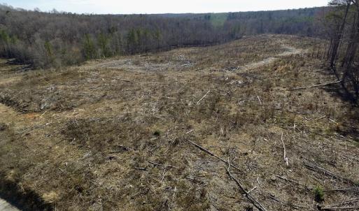 Photo of UNDER CONTRACT!  53.75 Acres of Hunting and Recreational Land For Sale in Lunenburg County VA!