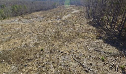 Photo of UNDER CONTRACT!  53.75 Acres of Hunting and Recreational Land For Sale in Lunenburg County VA!