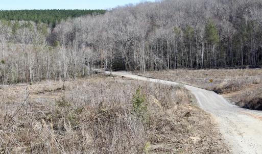 Photo of UNDER CONTRACT!  53.75 Acres of Hunting and Recreational Land For Sale in Lunenburg County VA!
