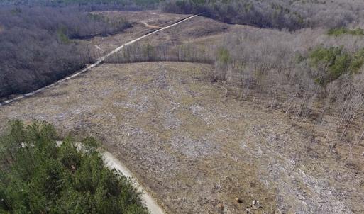 Photo of UNDER CONTRACT!  53.75 Acres of Hunting and Recreational Land For Sale in Lunenburg County VA!