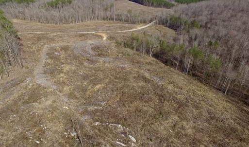 Photo of UNDER CONTRACT!  53.75 Acres of Hunting and Recreational Land For Sale in Lunenburg County VA!