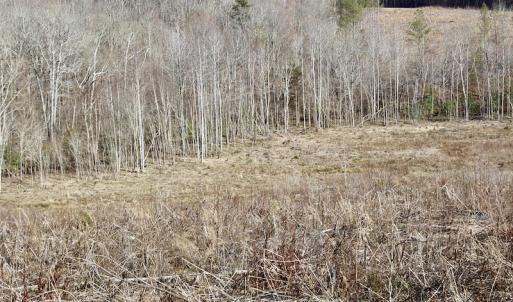 Photo of UNDER CONTRACT!  53.75 Acres of Hunting and Recreational Land For Sale in Lunenburg County VA!