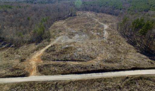 Photo of UNDER CONTRACT!  53.75 Acres of Hunting and Recreational Land For Sale in Lunenburg County VA!