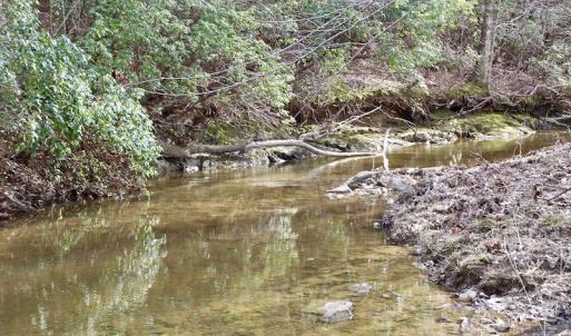 Photo of UNDER CONTRACT!  53.75 Acres of Hunting and Recreational Land For Sale in Lunenburg County VA!