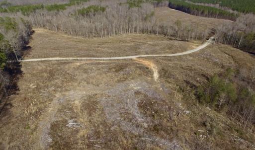 Photo of UNDER CONTRACT!  53.75 Acres of Hunting and Recreational Land For Sale in Lunenburg County VA!