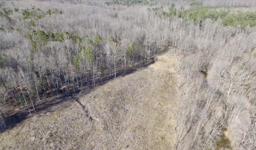 Photo of UNDER CONTRACT!  53.75 Acres of Hunting and Recreational Land For Sale in Lunenburg County VA!