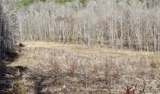 Photo of UNDER CONTRACT!  53.75 Acres of Hunting and Recreational Land For Sale in Lunenburg County VA!