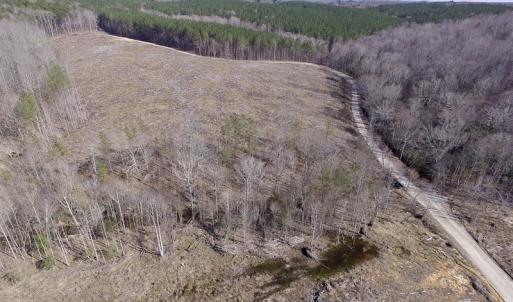 Photo of UNDER CONTRACT!  53.75 Acres of Hunting and Recreational Land For Sale in Lunenburg County VA!