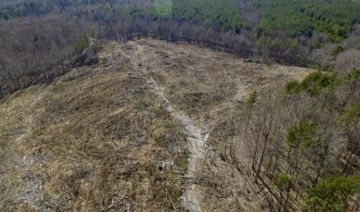 Photo of UNDER CONTRACT!  53.75 Acres of Hunting and Recreational Land For Sale in Lunenburg County VA!