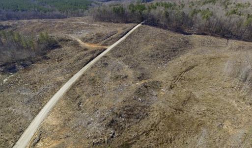 Photo of UNDER CONTRACT!  53.75 Acres of Hunting and Recreational Land For Sale in Lunenburg County VA!