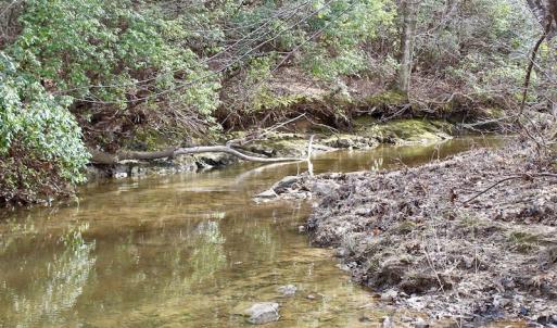 Photo of UNDER CONTRACT!  53.75 Acres of Hunting and Recreational Land For Sale in Lunenburg County VA!