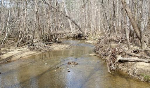 Photo of UNDER CONTRACT!  53.75 Acres of Hunting and Recreational Land For Sale in Lunenburg County VA!