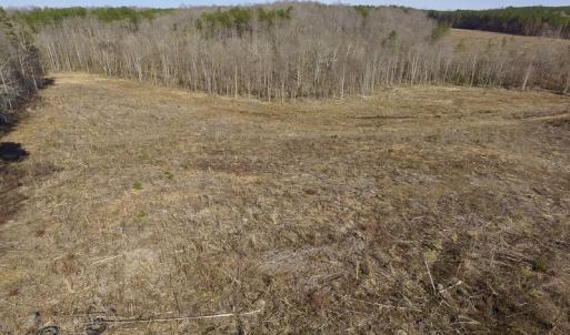 Photo of UNDER CONTRACT!  53.75 Acres of Hunting and Recreational Land For Sale in Lunenburg County VA!