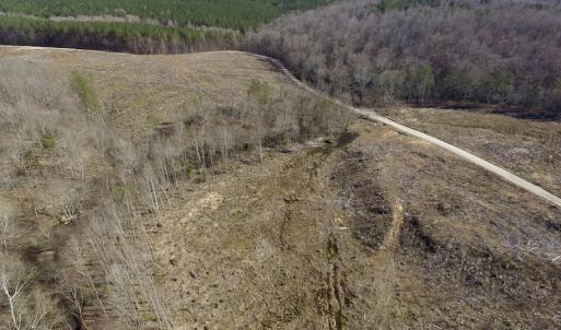 Photo of UNDER CONTRACT!  53.75 Acres of Hunting and Recreational Land For Sale in Lunenburg County VA!