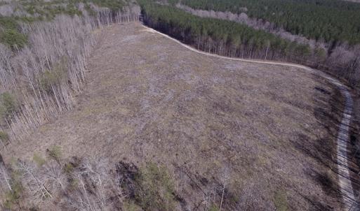 Photo of UNDER CONTRACT!  53.75 Acres of Hunting and Recreational Land For Sale in Lunenburg County VA!