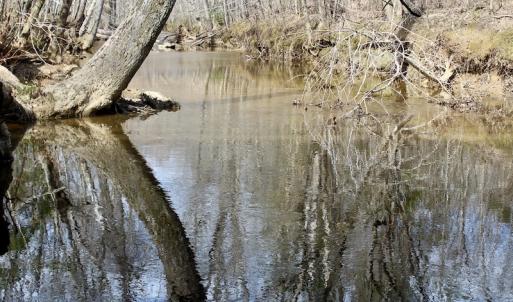 Photo of UNDER CONTRACT!  53.75 Acres of Hunting and Recreational Land For Sale in Lunenburg County VA!