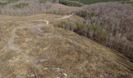 Photo of UNDER CONTRACT!  53.75 Acres of Hunting and Recreational Land For Sale in Lunenburg County VA!