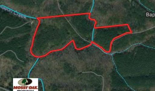 Photo of UNDER CONTRACT!  53.75 Acres of Hunting and Recreational Land For Sale in Lunenburg County VA!