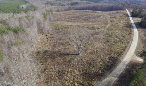 Photo of SOLD!  44.5 Acres of Hunting and Recreational Land For Sale in Lunenburg County VA!