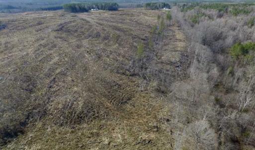 Photo of SOLD!  44.5 Acres of Hunting and Recreational Land For Sale in Lunenburg County VA!