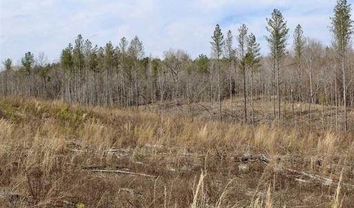 Photo of SOLD!  44.5 Acres of Hunting and Recreational Land For Sale in Lunenburg County VA!